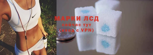 сатива Богородицк