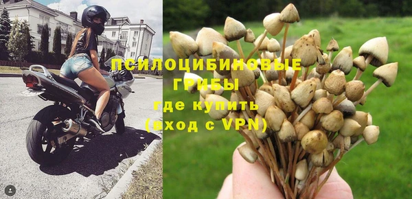 сатива Богородицк