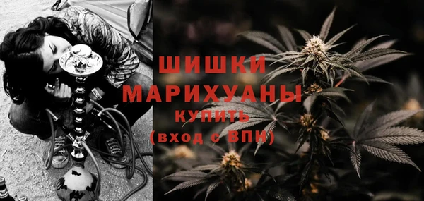 сатива Богородицк