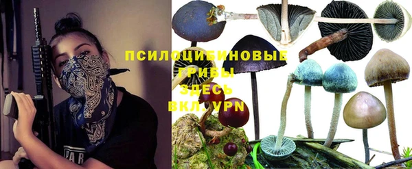 сатива Богородицк