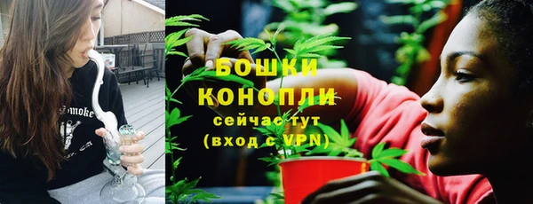 сатива Богородицк