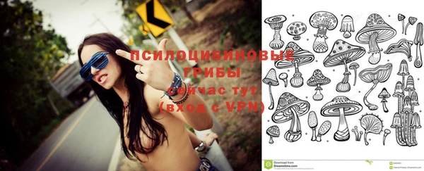 сатива Богородицк